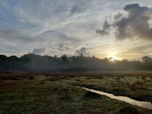 New Forest sunrise - October 2022