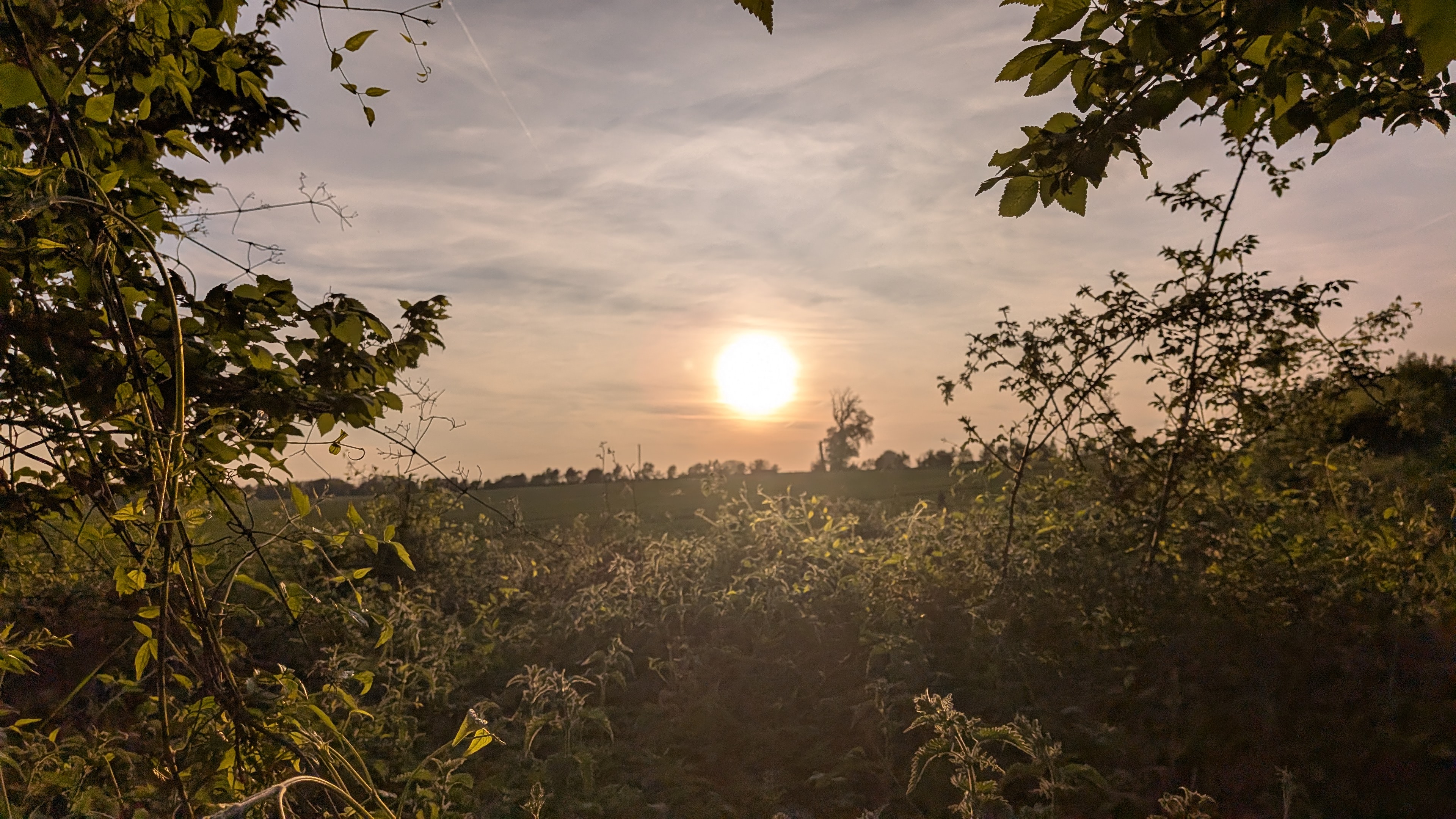 Sunset at Bridge, May 2026